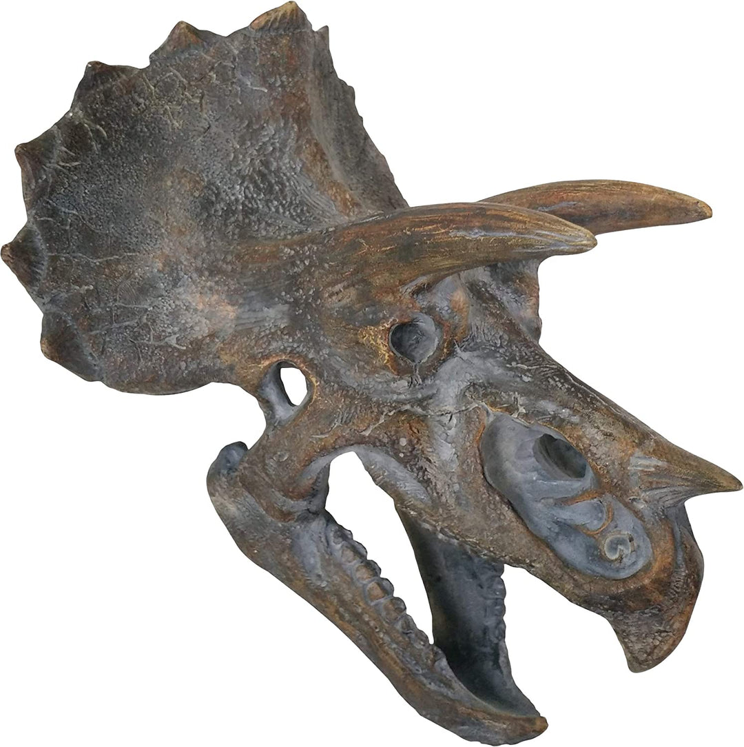 Nemesis Now Triceratops Kopf 23 cm Wandschild, braun