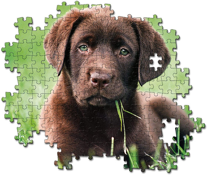 Clementoni - 35072 - Collection Puzzle - Chocolate Puppy - 500 pieces - Made in Italy - Jigsaw Puzzles for Adult