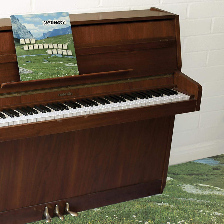 Grandaddy – The Sophtware Slump ..... On A Wooden Piano (LP) [VINYL]