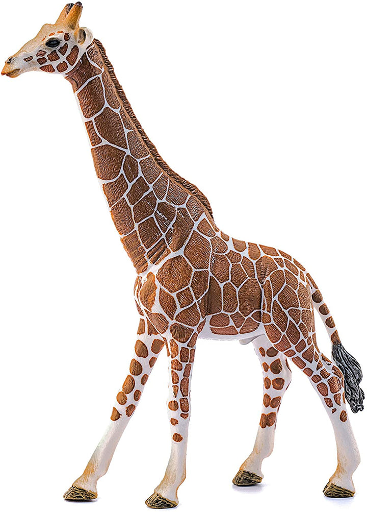 Schleich 14749 Giraffe, Man