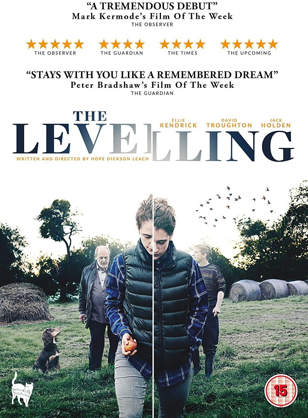 The Levelling - Drama [DVD]