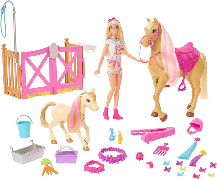 Barbie Groom &#39;n Care Horses Playset con Barbie Doll (Bionda 11,5 pollici), 2 cavalli e oltre 20 accessori per l&#39;acconciatura e l&#39;acconciatura