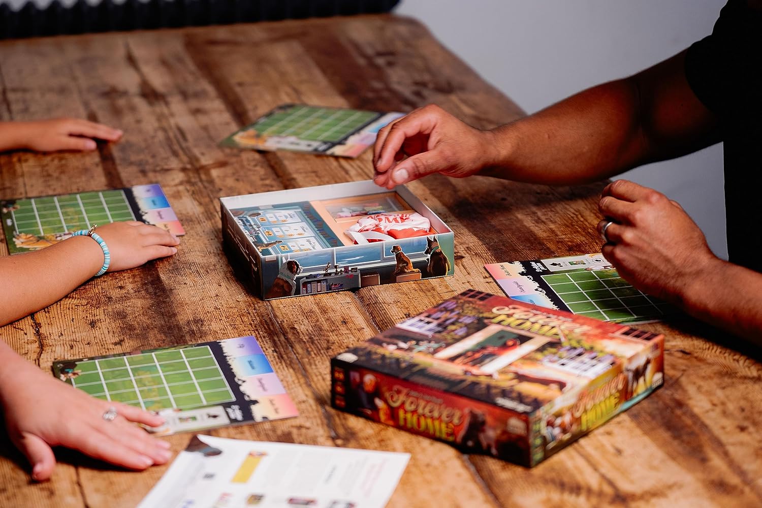 Forever Home Strategie-Brettspiel von Birdwood Games, für den Familienabend, perfekt für Hundeliebhaber, Kinder und Erwachsene 7