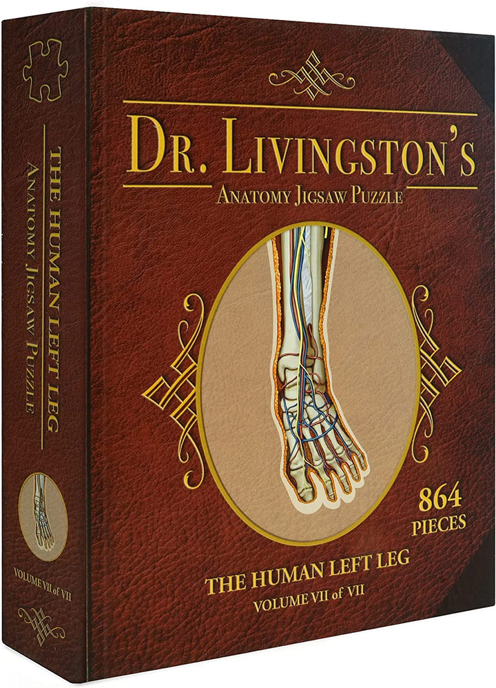 Dr. Livingstons Anatomy Jigsaw Buzzle: Band IV – Das menschliche linke Bein 