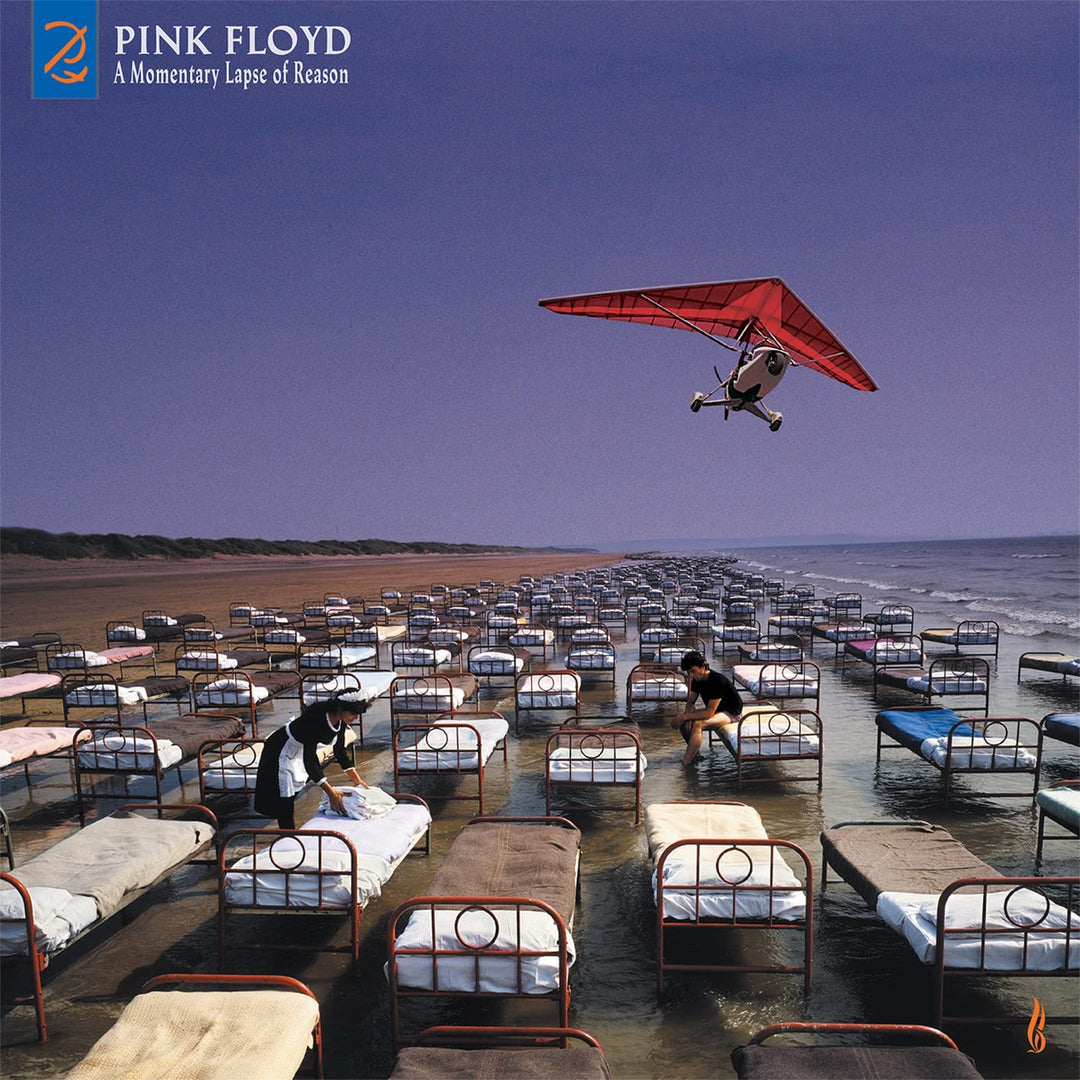 Pink Floyd - A Momentary Lapse Of Reason [VINYL]