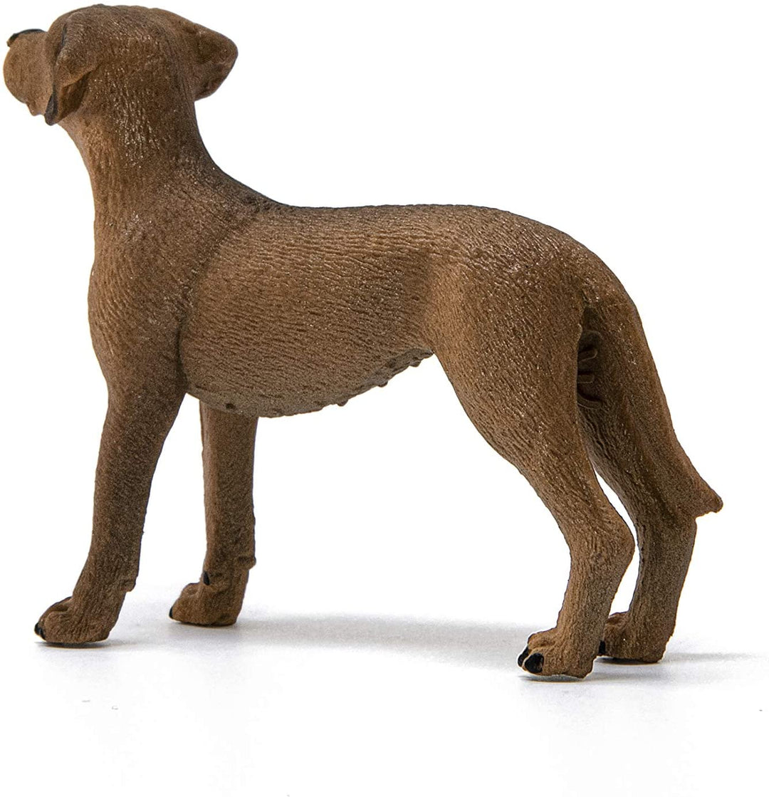 Schleich 13895 Rhodesian Ridgeback Farm World