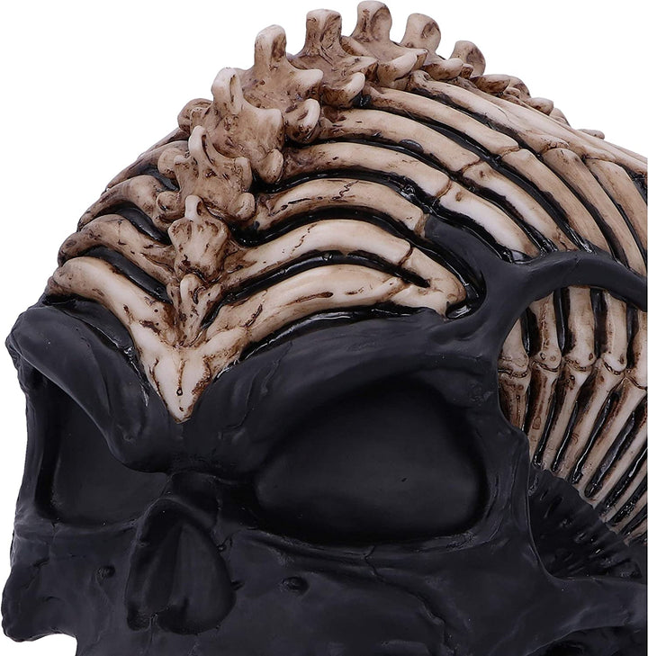 Nemesis Now Officially Licensed James Ryman Spine Head Skull Skeleton Ornament,