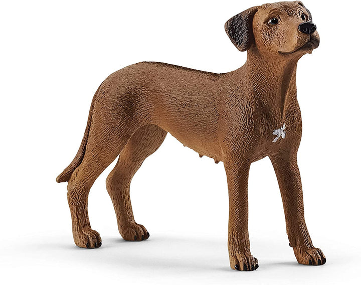 Schleich 13895 Rhodesian Ridgeback Boerderij Wereld