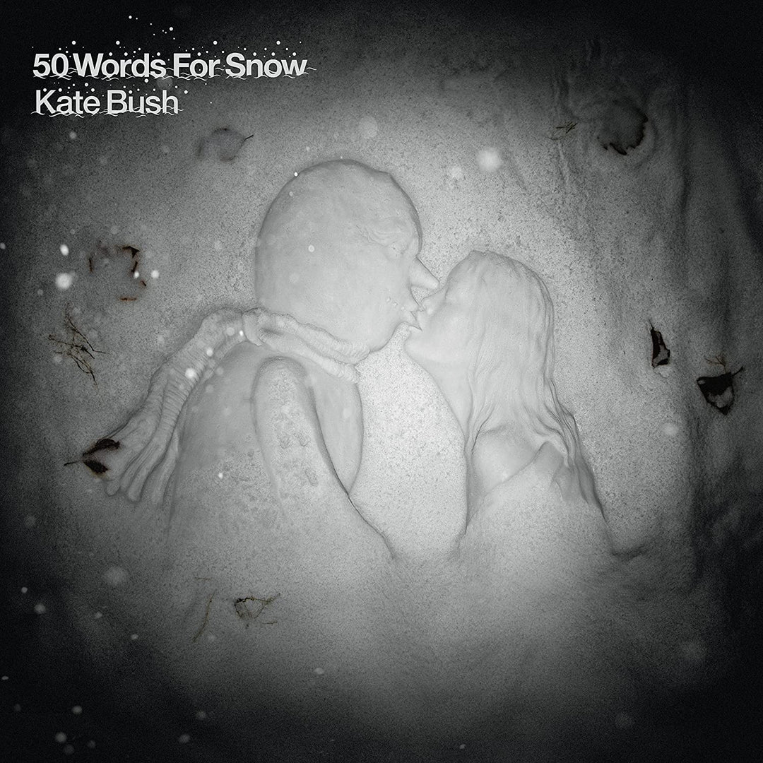 50 Words for Snow (2018)