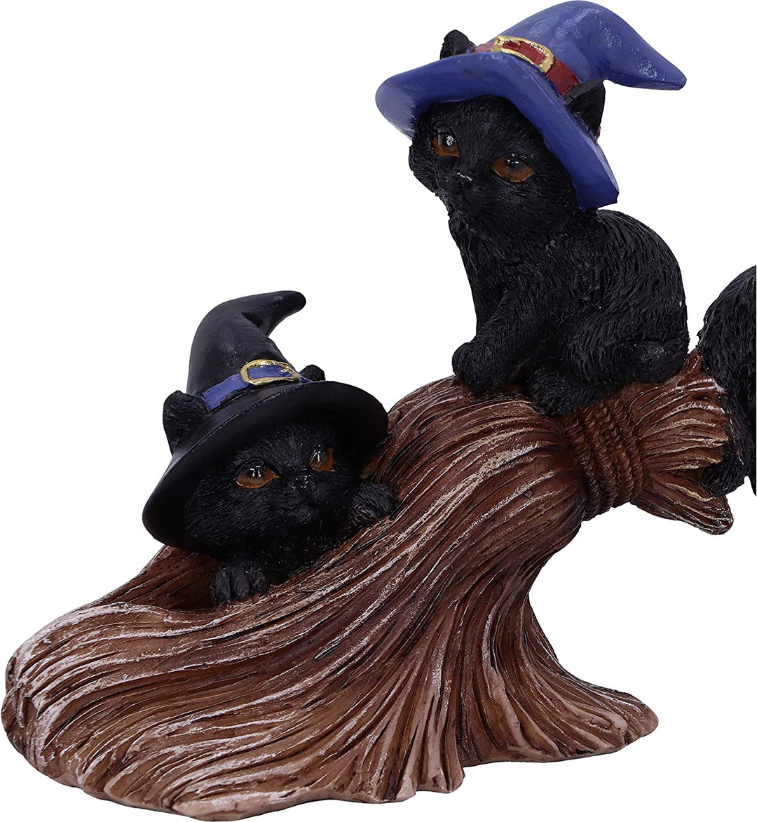 Nemesis Now Purrfect Broomstick Witches Familiar Black Cats und Broomstick Figur