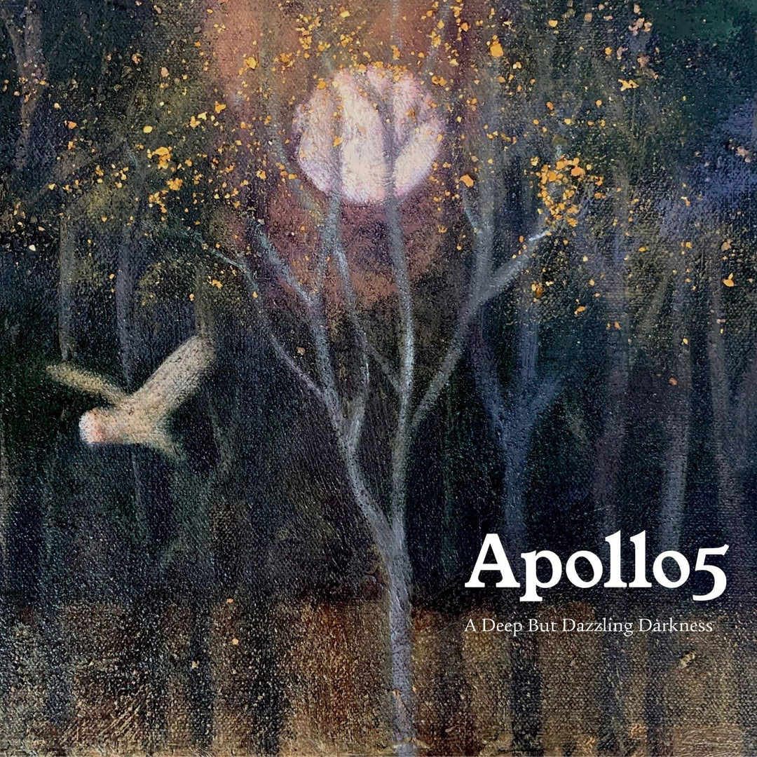APOLLO5 – Eine tiefe, aber blendende Dunkelheit [Audio-CD]