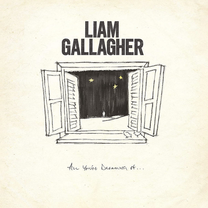 Liam Gallagher – All You're Dreaming Of [Vinyl]