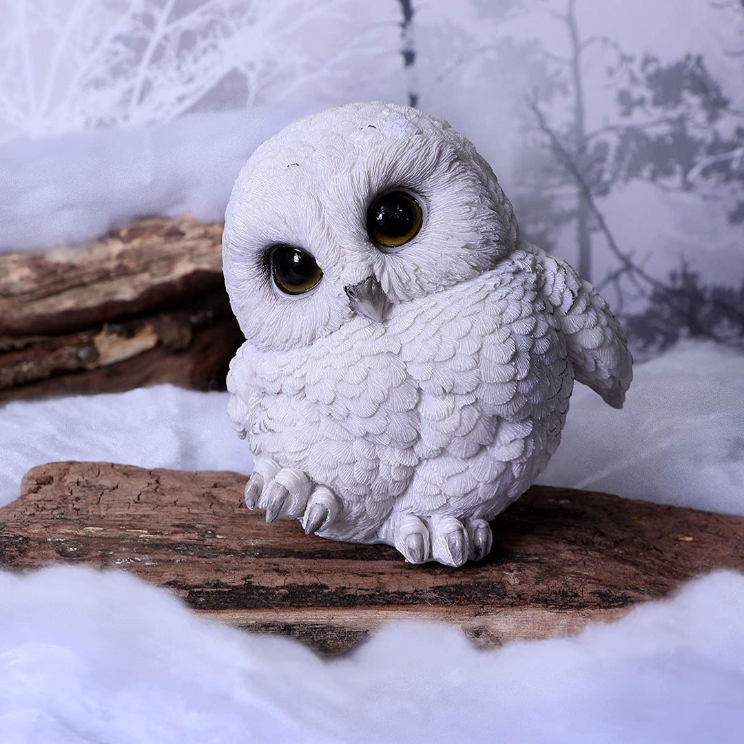 Nemesis Now Feathers Cute Rotund Snowly Owl Figurine, White, 12.5cm (U5473T1)