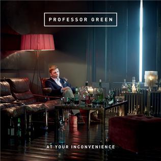 At Your Inconvenience [Audio-CD]