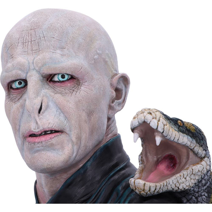 Nemesis Now offiziell lizenzierte Harry-Potter-Lord-Voldemort-Büste, 30,5 cm, Multi C