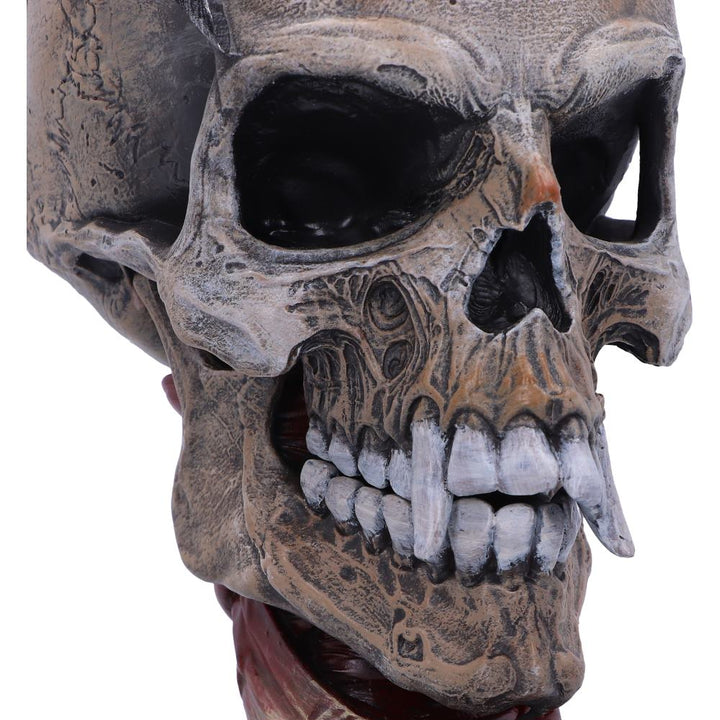 Nemesis Now offiziell lizenzierter Metallica Pushead Skull 23,5 cm, Creme