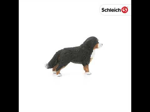 Schleich Farm World - 16397 Bernese Mountain Dog, Female