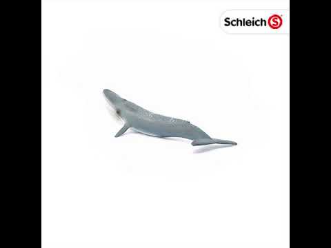 Schleich 14806 Blauwe Walvis