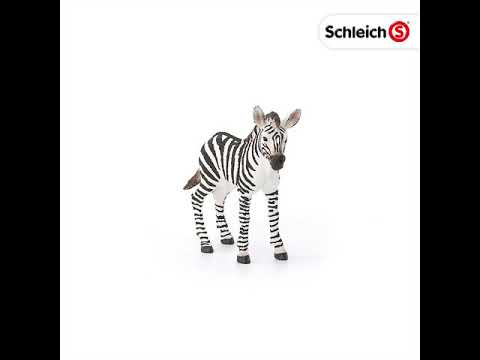 Schleich 14811 poulain zèbre