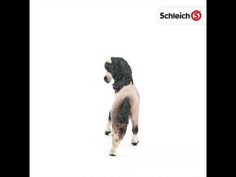 Schleich 13793 Cavalla andalusa