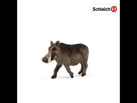 Schleich 14843 Wildes Warzenschwein 
