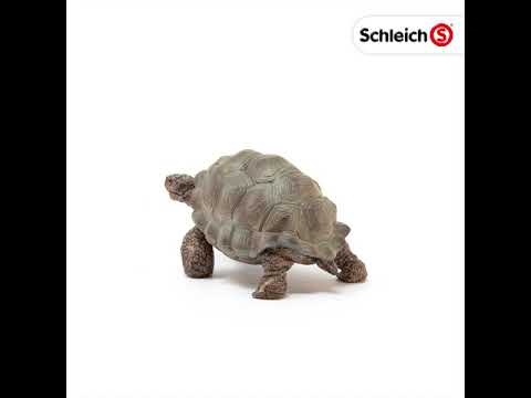 Schleich 14824 Riesenschildkröte Wild Life