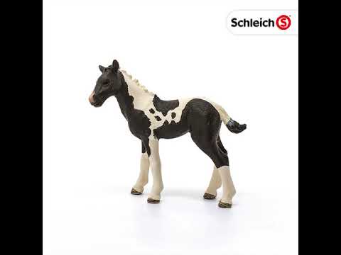 Schleich 13803 Pinto Fohlen