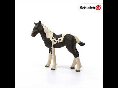 Schleich 13803 Pinto Foal