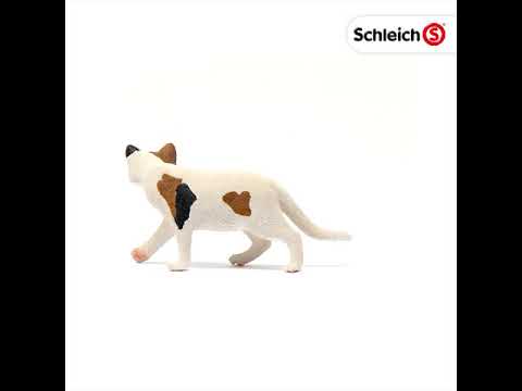 Schleich 13894 Gato americano de pelo corto Mundo de la granja