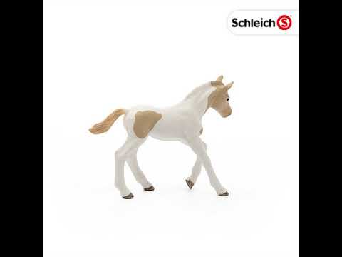 Schleich 13886 Club Paint Horse Fohlen