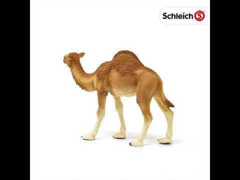 Schleich 14832 Dromedario Vida Salvaje