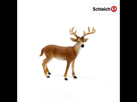 Schleich 14818 Buck à queue blanche