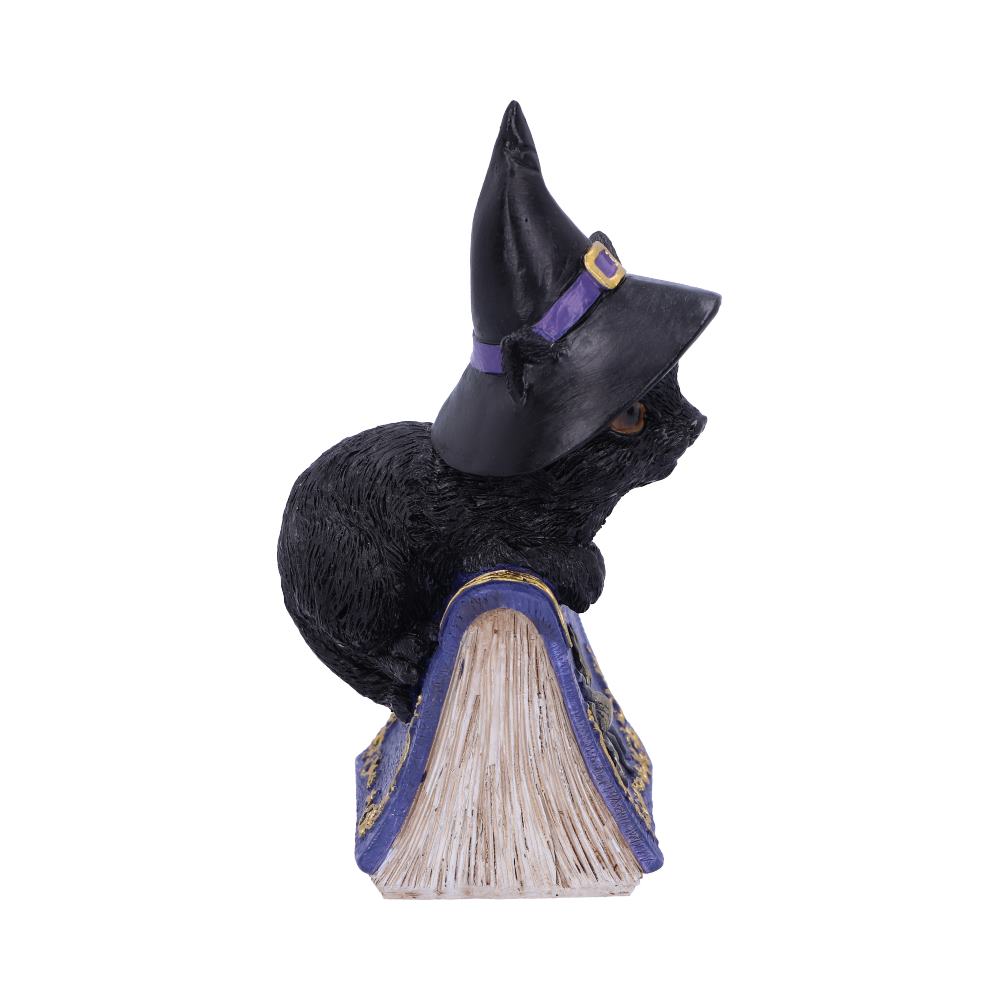 Nemesis Now Pocus kleine Hexen-vertraute schwarze Katze und Zauberbuch-Figur, 12,7 cm