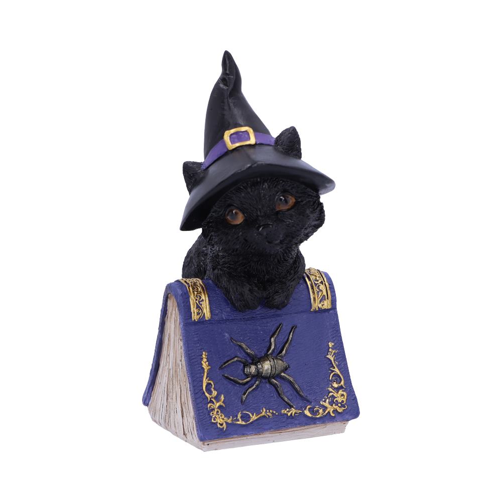 Nemesis Now Wiccan & Witchcraft Collection - Hocus Small Witches Familiar Black Cat and Spellbook Figurine 3
