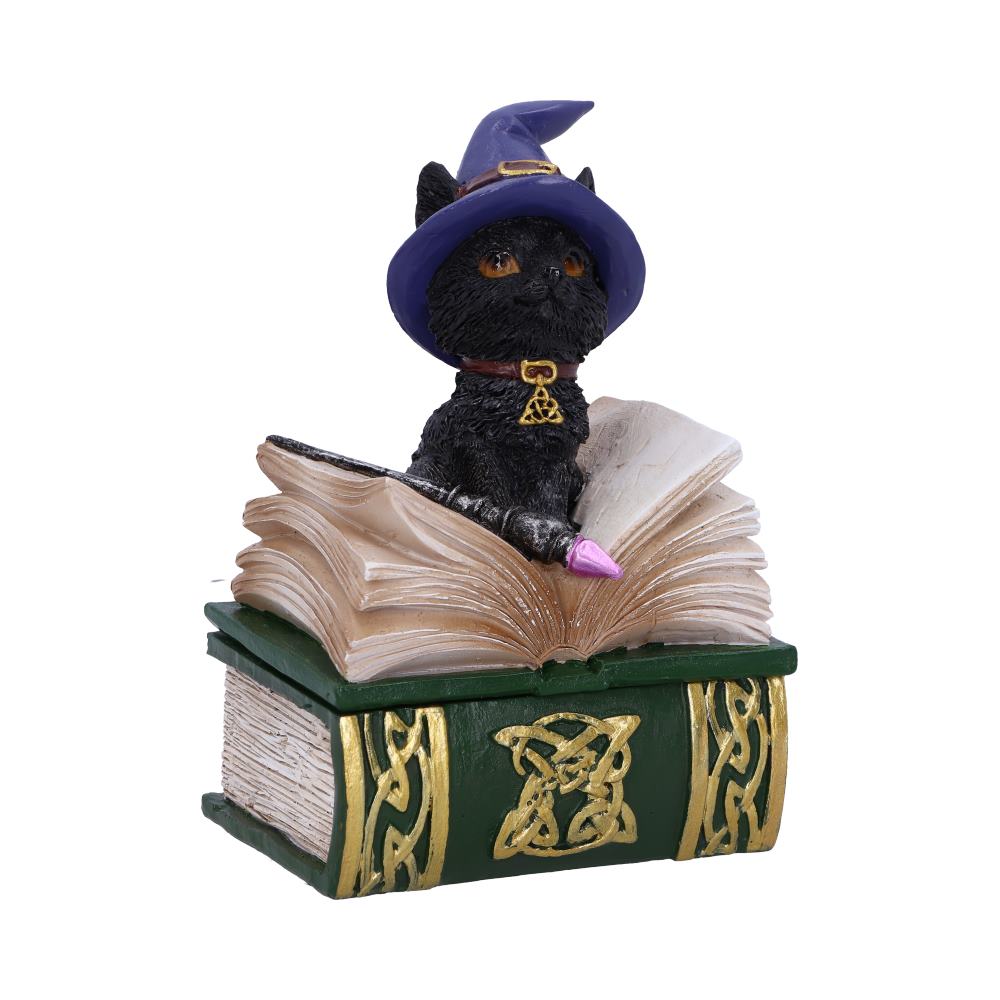 Nemesis Now Binx Kleine Hexen-Vertraute schwarze Katze und Zauberbuch-Figurenbox, 11 cm