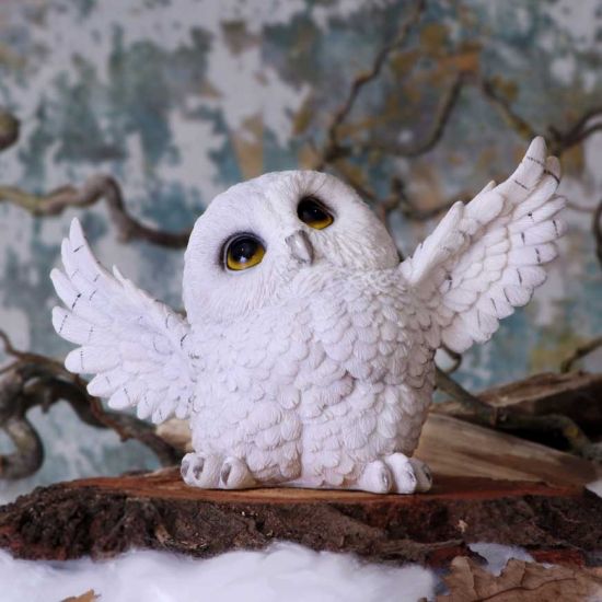 Nemesis Now Snowy Delight – Eulenfigur aus weißem Harz